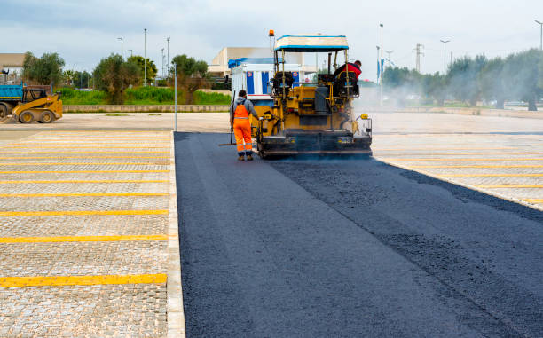 Best Custom Driveway Pavers  in Jasmine Estates, FL